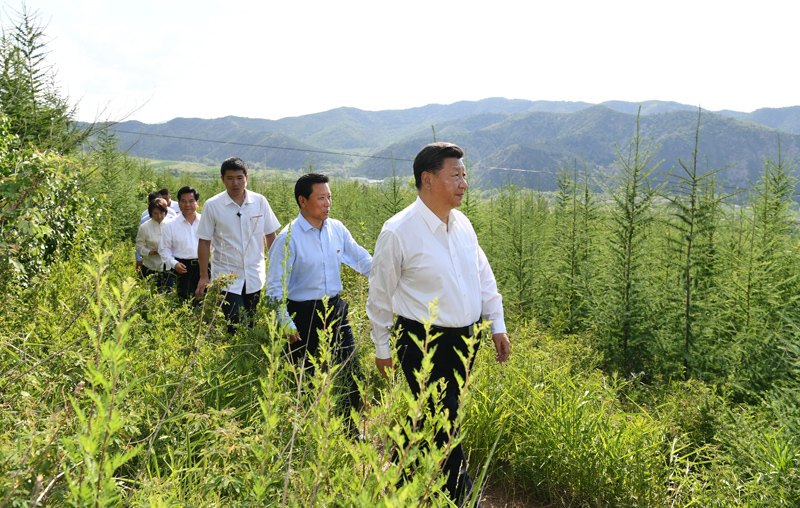 7月15日至16日，中共中央總書(shū)記、國(guó)家主席、中央軍委主席習(xí)近平在內(nèi)蒙古考察并指導(dǎo)開(kāi)展“不忘初心、牢記使命”主題教育。這是15日下午，習(xí)近平在赤峰市喀喇沁旗馬鞍山林場(chǎng)林區(qū)，沿著崎嶇的護(hù)林小道察看林木長(zhǎng)勢(shì)。